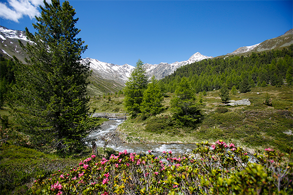 Wandern in den Bergen