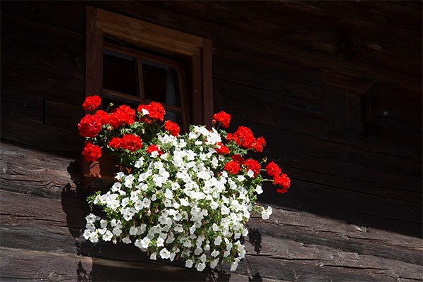 Doppelbettzimmer Lagaunspitz