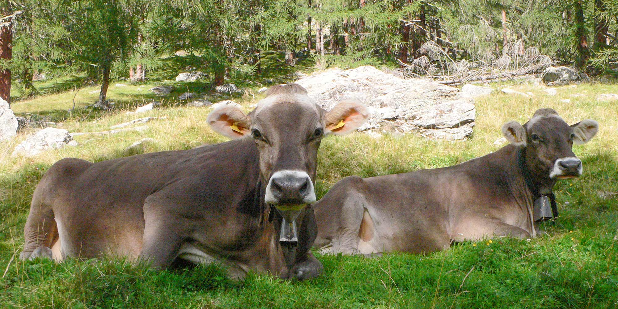 Unterpretrachhof im Schnalstal