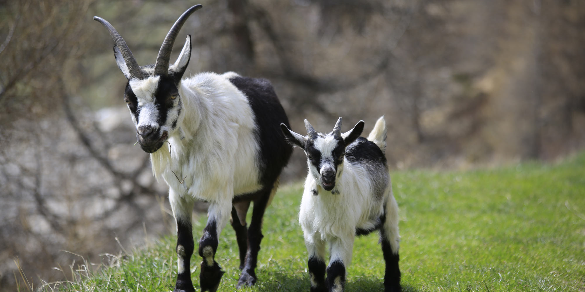 Unterpretrachhof im Schnalstal