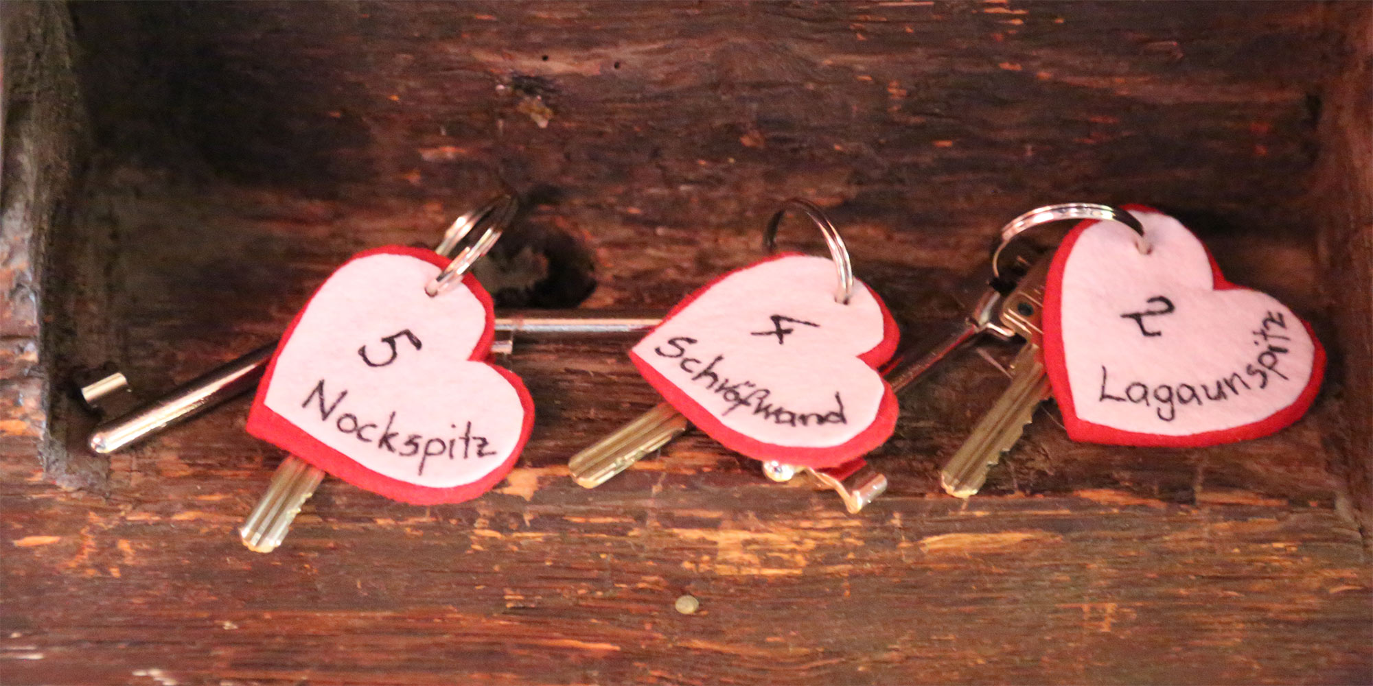 Zimmer Lagaunspitz - Unterpretrachhof